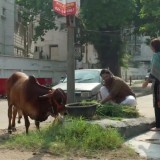 09.Bakra-Impossible-_-Eid-Special-_-HUM-TV-_-Telefilm.mp4-5