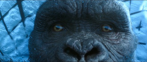 Godzilla vs Kong (2021) 1080p HDRip x264 DD5 1 [Dual Audio][Hindi+English] DUS Excl