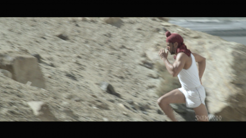Bhaag-Milka-Bhaag-20131080p-BluRay-Remux-AVC-DTSHD-MA-5.1-DusIctv.mkv_20210529_201235.742.png