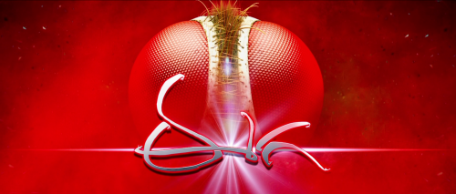 Eega-1b8d96348fa137e3e.png