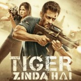 Tiger-Zinda-Hai-2017c5d0a43435dbe59a
