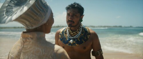 Black Panther 2 Wakanda Forever (2022) Telugu Dubbed Movie Screen Shot 4