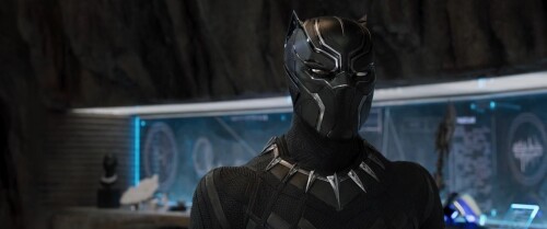 Black-Panther-2018-Telugu-Dubbed-Movie-Screen-Shot-4.jpeg