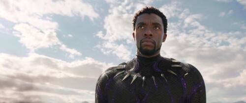 Black-Panther-2018-Telugu-Dubbed-Movie-Screen-Shot-6.jpeg