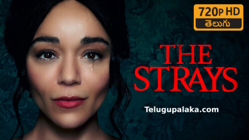 The Strays (2023) Telugu Dubbed Movie