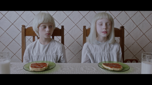 vlcsnap-2023-05-27-15h19m40s745.png