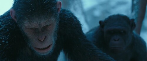 War for the Planet of the Apes (2017) Telugu Dubbed Movie Screen Shot 3