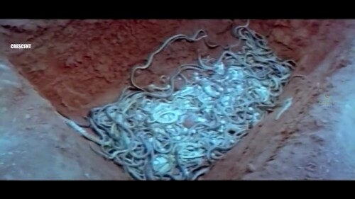 Calamity Of Snakes (Naga Pralayam) (1982) Telugu Dubbed Movie Screen Shot 2