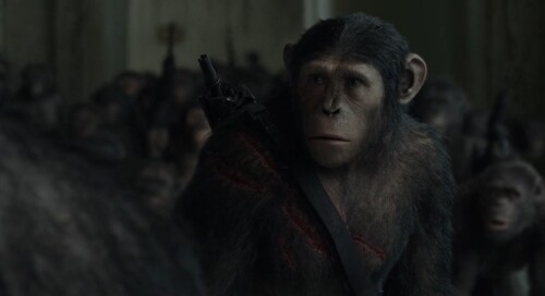 Dawn of the Planet of the Apes (2014) Telugu Dubbed Movie Screen Shot 5