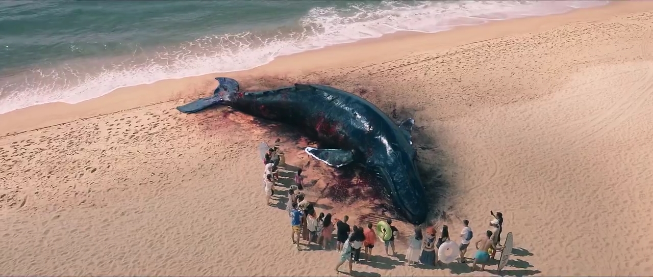 Escape-of-Shark-2021-Telugu-Dubbed-Movie-Screen-Shot-1.jpeg