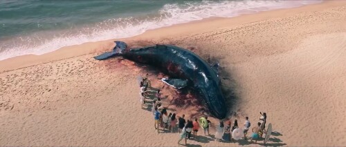 Escape of Shark (2021) Telugu Dubbed Movie Screen Shot 1