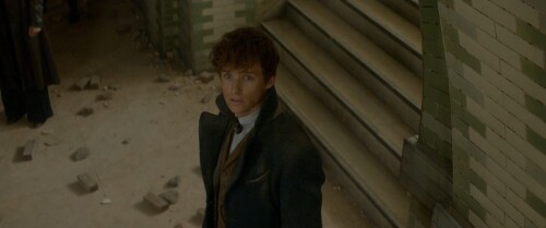 Fantastic Beasts and Where to Find Them (2016) Telugu Dubbed Movie Screen Shot 5