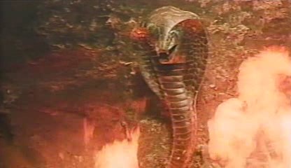 The Hunters of the Golden Cobra (1982) Telugu Dubbed Movie Screen Shot 6