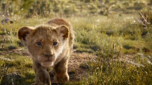 The Lion King (2019) Telugu Dubbed Movie Screen Shot 3