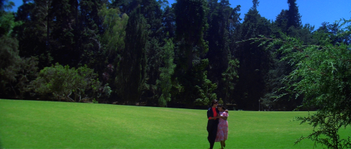 00005---2---h264-1080p24103090.png