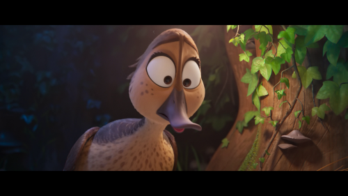 vlcsnap-2024-01-24-05h12m33s250.png