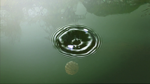 vlcsnap-2024-03-21-00h12m26s229.png