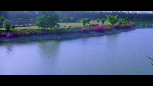 vlcsnap-2024-04-04-22h17m26s745.png