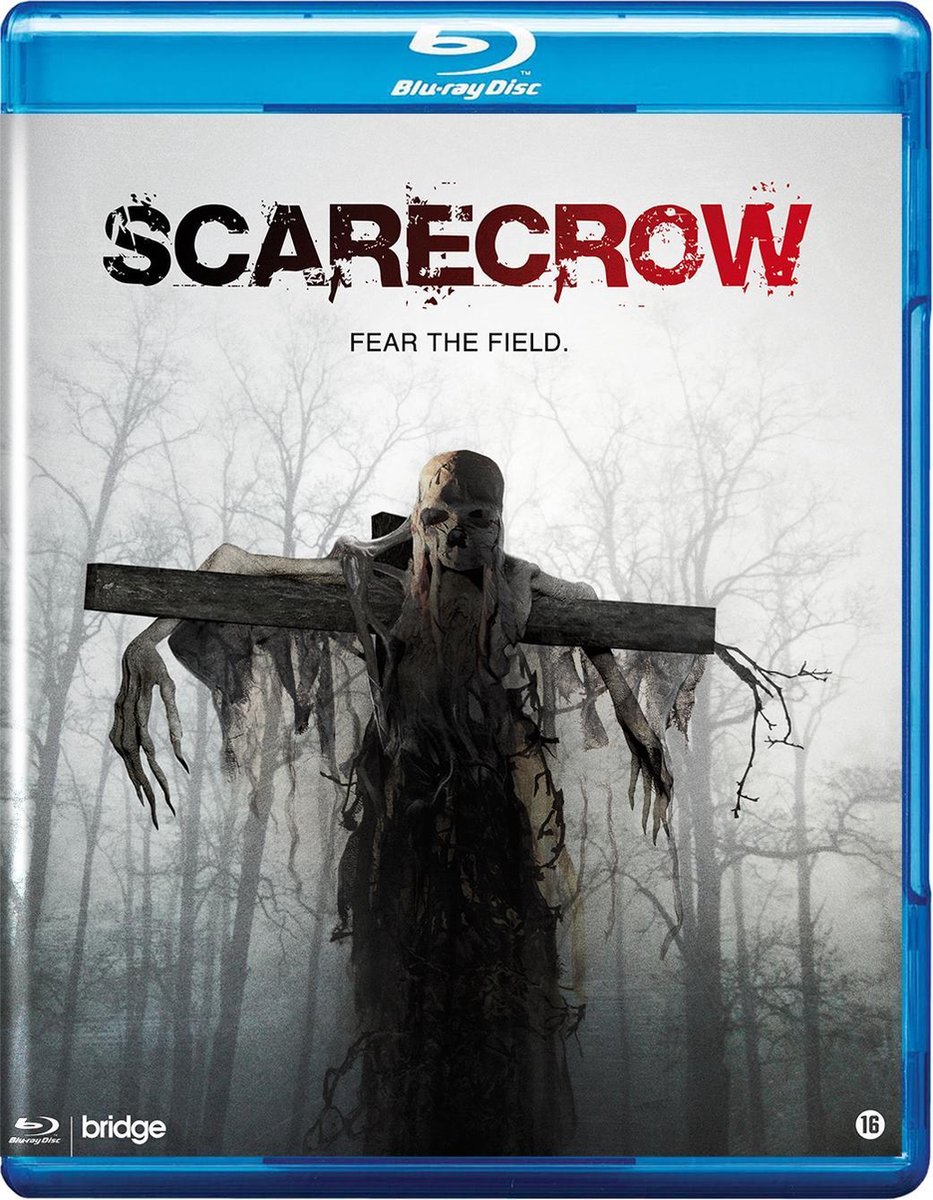 Scarecrow 2013 ORG Hindi Dual Audio 1080p | 720p | 480p BluRay ESub Download