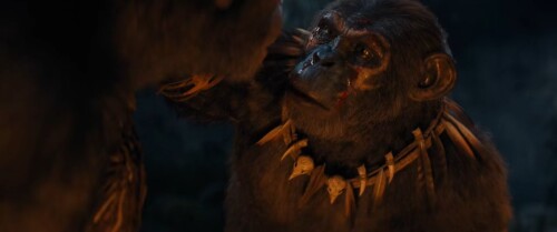 Kingdom-of-the-Planet-of-the-Apes-2024-Telugu-Dubbed-Movie-Screen-Shot-2.jpg