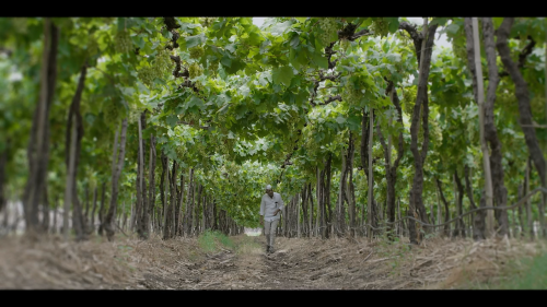 Bharat.Fintech.Story.S01E04.Progcap.720p.HS.WEB-DL.AAC2.0.x264-DUS.mkv_20240830_180011.397.png