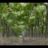 Bharat.Fintech.Story.S01E04.Progcap.720p.HS.WEB-DL.AAC2.0.x264-DUS.mkv_20240830_180011.397