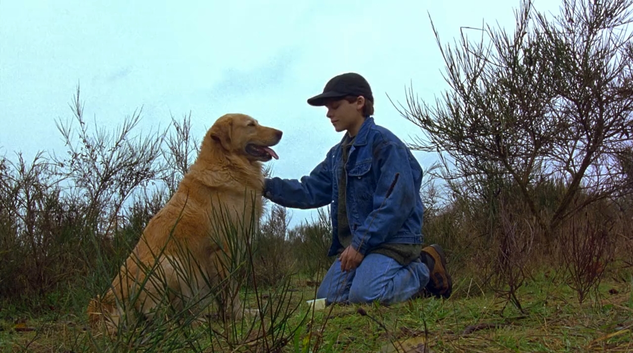 Air Bud (1997) Telugu Dubbed Movie Screen Shot 4