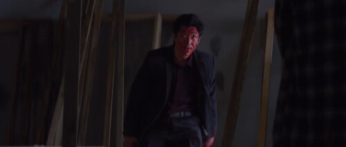 Hot-Blood-2021-Telugu-Dubbed-Movie-Screen-Shot-5.jpg