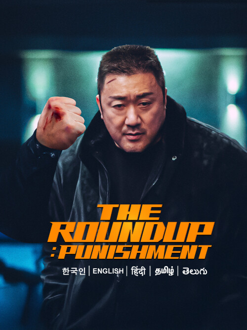 The-Roundup-Punishment-2024-HD-Poster.jpg
