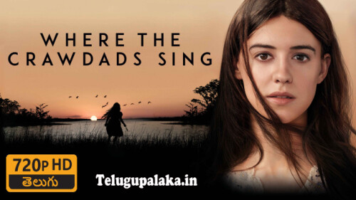 Where-the-Crawdads-Sing-2022-Telugu-Dubbed-Movie.jpg