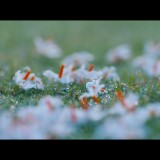 October.2018.BluRay.1080p.DTS-HD.MA.5.1.AVC.REMUX-FraMeSToR.mkv_snapshot_00.12.36.917