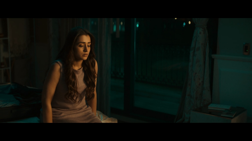 VidaaMuyarchi-2024-1080P-NF-WEB-DL-H.264-DDP5.1-HINTAMTELKANMAL-ESUB-SHB931.mkv_20250326_142939.648.png
