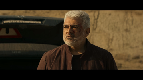 VidaaMuyarchi-2024-1080P-NF-WEB-DL-H.264-DDP5.1-HINTAMTELKANMAL-ESUB-SHB931.mkv_20250326_143108.680.png