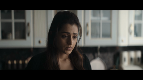 VidaaMuyarchi-2024-1080P-NF-WEB-DL-H.264-DDP5.1-HINTAMTELKANMAL-ESUB-SHB931.mkv_20250326_143201.807.png