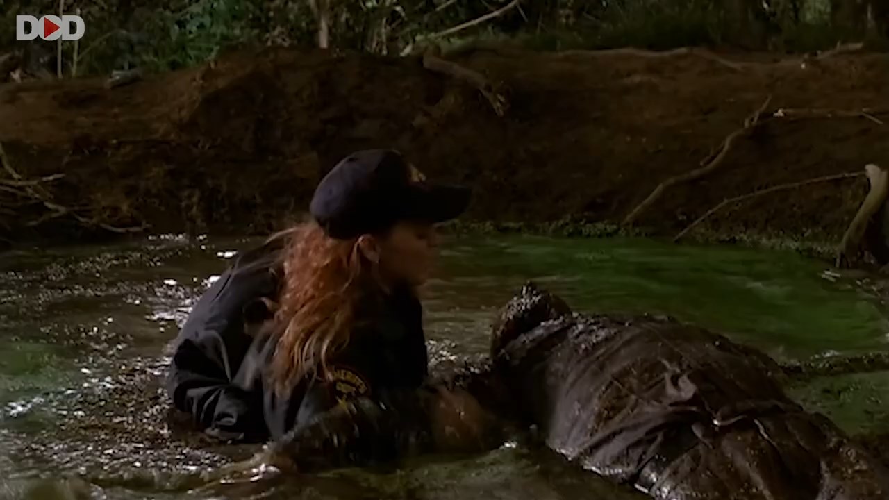 Swamp Devil (2008) Telugu Dubbed Movie Screen Shot 4