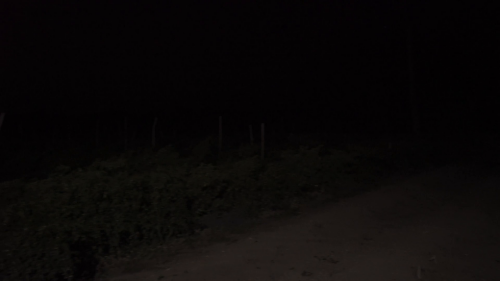 c565f9934878.png