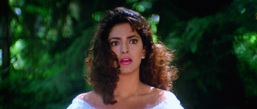 Darr.1993006507.png