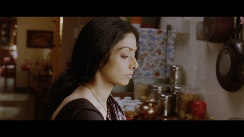 English-Vinglish-2012-HINDI-2160P-ZEE5-WEB-DL-H265-DDP5.1-ESUB-SHB931.mkv_20260124_162142.079.jpg