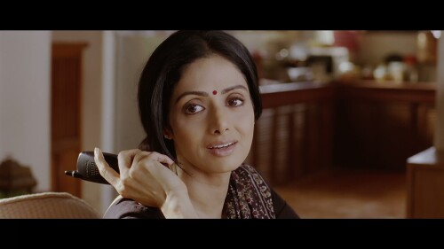 English-Vinglish-2012-HINDI-2160P-ZEE5-WEB-DL-H265-DDP5.1-ESUB-SHB931.mkv_20260124_162143.343.jpg