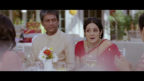 English-Vinglish-2012-HINDI-2160P-ZEE5-WEB-DL-H265-DDP5.1-ESUB-SHB931.mkv_20260124_162252.087.jpg