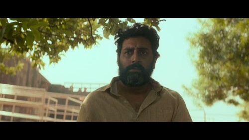 Kaalidhar-Laapata-2025-HINDI-1080P-ZEE5-WEB-DL-H265-DDPA5.1-ESUB-SHB931.mkv_20260209_234852.257.jpg