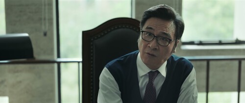 The-Prosecutor-2024-1080P-10Bit-BluRay-H265-DDP2.0-5.1-HINENGCHI-ESUB-SHB931.mkv_20260329_004729.862.jpg